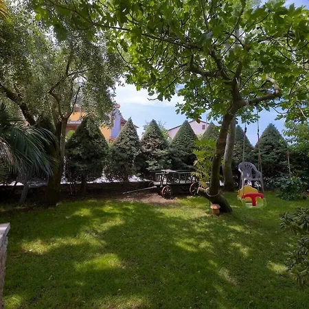 Kascuni A3 Nyaraló *