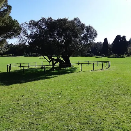 Kascuni A3 Nyaraló *